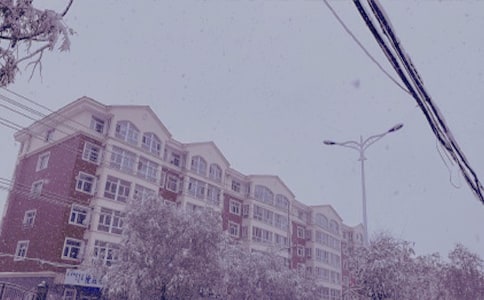 冬日暖陽作文800字