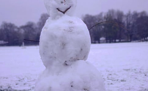 �茑����������Ԋ��