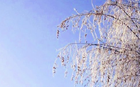 贊美冬天的詩句2篇