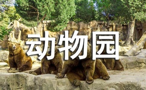 小小動物園寫人