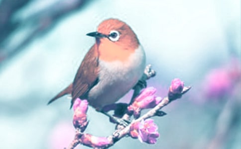 �^���ֲ�����ӛ