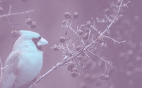 �^���ֲ�������