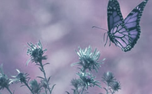 ���õ��^���ֲ����ӛ3ƪ