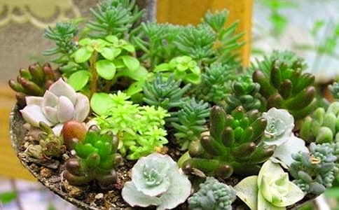 (��(sh��)��)����Ķ�������4ƪ