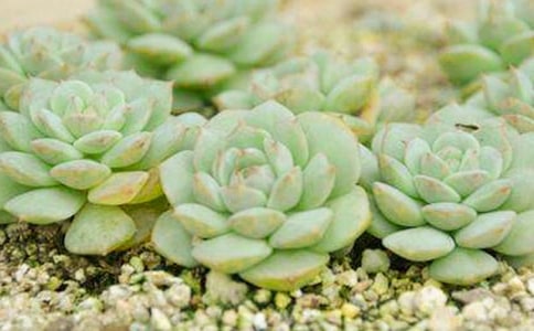 ���⃞�����ă���[10ƪ]