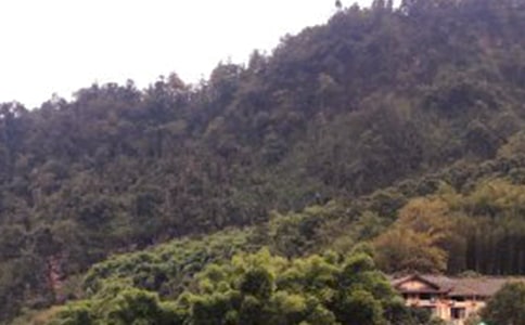 《峨眉山月歌》原文及譯文