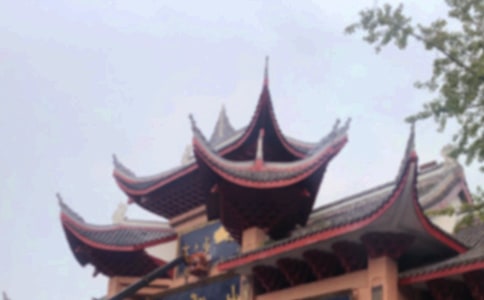 (熱)峨眉山之旅作文