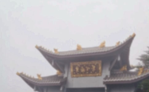 關于游峨眉山作文