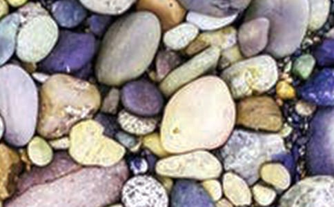 我是一顆鵝卵石作文匯編(12篇)