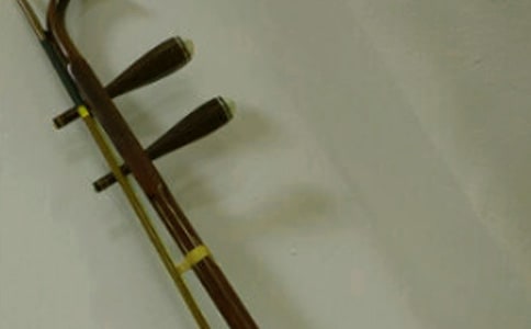 重上二胡課作文