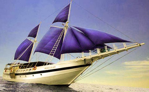 �а����gС�����̰���ͨ��5ƪ��