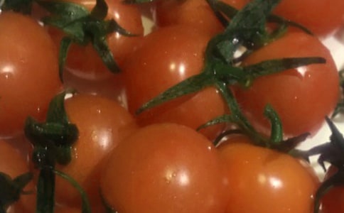 種番茄作文(合集)