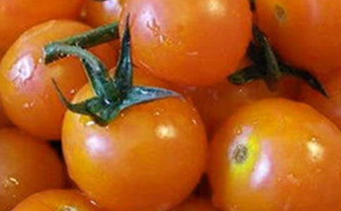 (集合)番茄炒蛋作文15篇