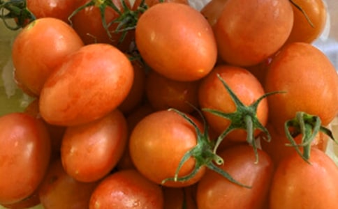 ���ѳ�������15ƪ�����x��