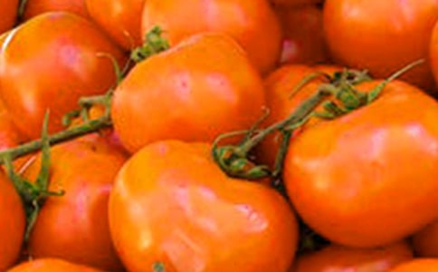 《“番茄太陽”》教學實錄