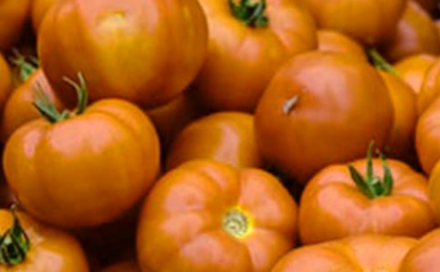 [��]�P�ڷ��ѵ�����12ƪ