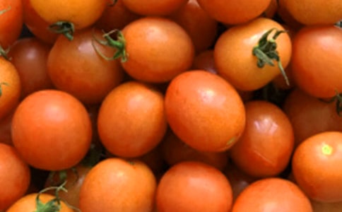 ���ѳ�������(��)