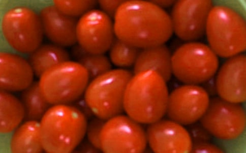 ���ѳ������ļ��\��15ƪ��