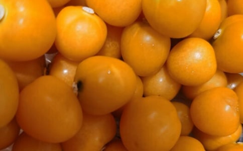 番茄炒蛋二年級作文(通用22篇)