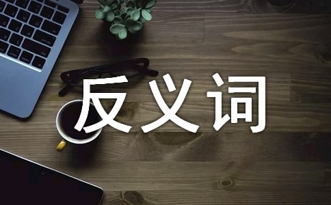 關(guān)于喜歡的近反義詞是什么