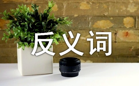 橫沖直撞的反義詞、成語的意思及造句