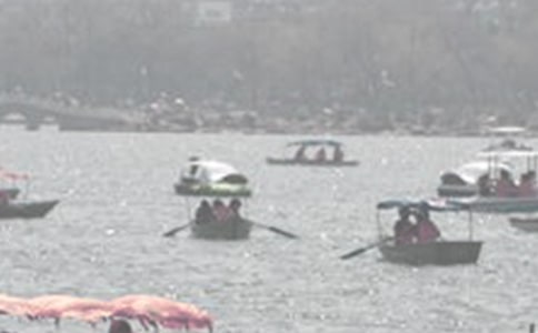 書海泛舟作文【匯編4篇】