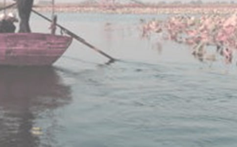 �����������ă�(y��u)�㣨4ƪ��