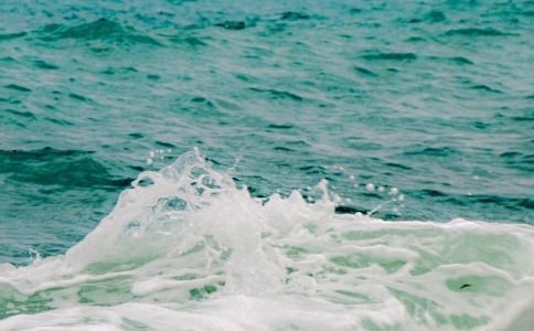 飛鳥和魚的抒情散文