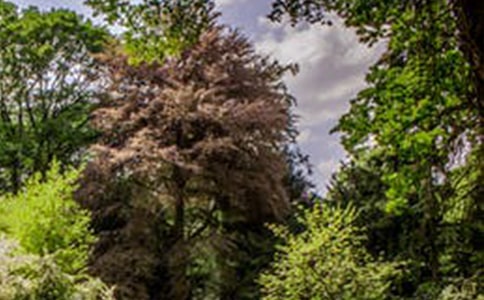 �茑�L���ĳ��Z�����