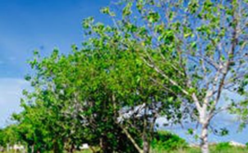 �L�������f�f