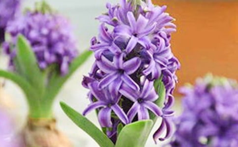 �L(f��ng)���������\��14ƪ