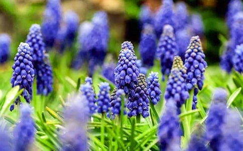 �L��������15ƪ�����]��