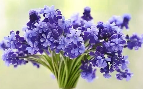 �L�������ļ��\15ƪ