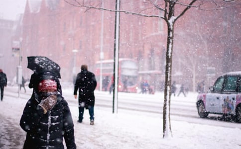風雪中的母子作文