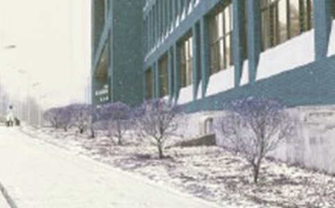 �Lѩ��_600��