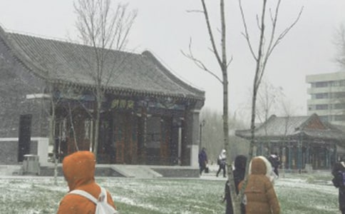 �L(f��ng)ѩ������300��