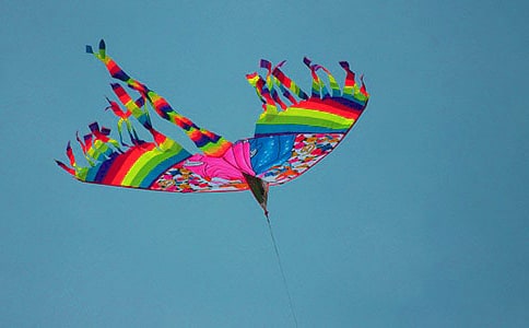 ���L(f��ng)�~����