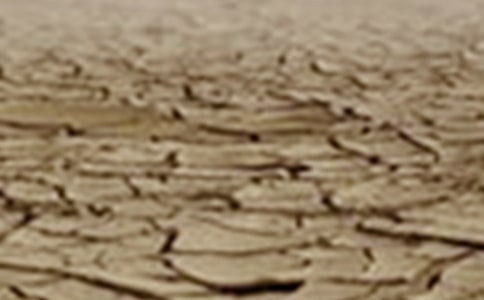 世界防治荒漠化和干旱日活動方案