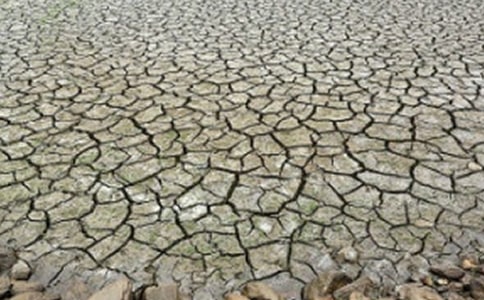 �ﶬ��Ƥ�w���� �����ɺ�