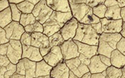 �ɺ���ɺ��؅^ֲ�����B��ˮӋ��