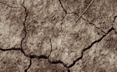 ���ڃ�׃���Ϸֲ��ĸɺ���������