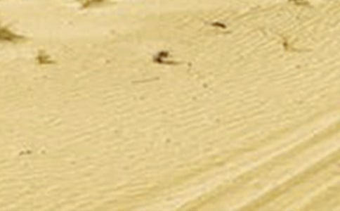 1995-2005���Ї��ɺ��^�о��lչ�B�ݼ��W�gӰ�������