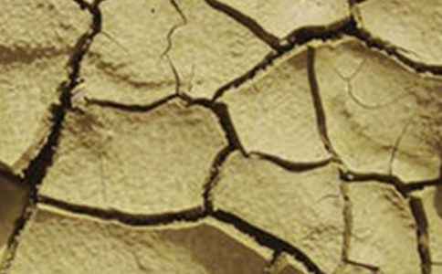 關于干旱的作文