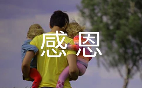 感恩母親作文(合集15篇)