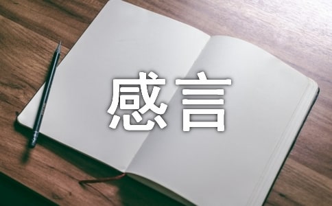 創(chuàng)業(yè)的感言