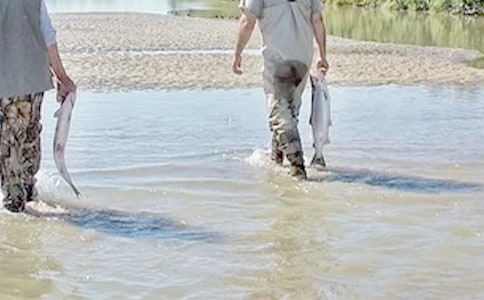 【推薦】我的好哥們作文