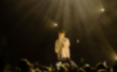 �W�j�������������댦���f