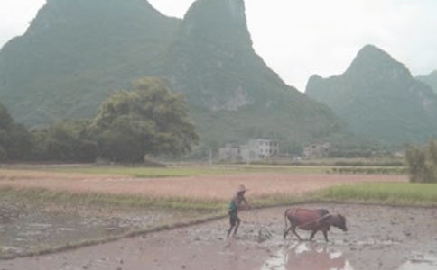 ����,�_���S���ļ҈@ɢ��