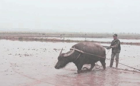 �T���Ђ�ϲ����-ӛȫ���Zʳ���a����܊