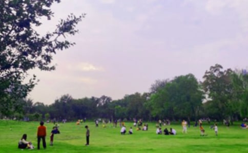 �����㣩�����Ĺ��@����35ƪ